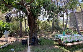 Mobil Home Calicanto